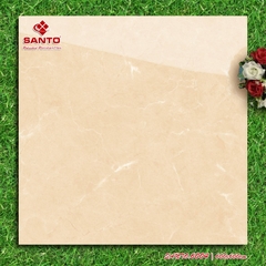 GẠCH LÁT 60x60: SANTO6004