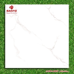 GẠCH LÁT 60x60: SANTO6005