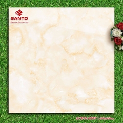 GẠCH LÁT 60x60: SANTO6008