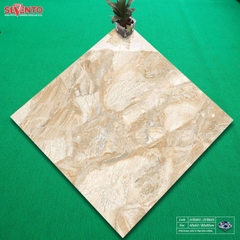 GẠCH LÁT 60x60: SVT6803