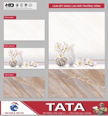 GẠCH ỐP 30x60: TATA3650.51D.52