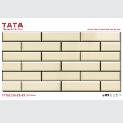 GẠCH ỐP TƯỜNG TATA 20x50: TATA2550-28-C1