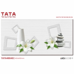 GẠCH ỐP TƯỜNG TATA 40x80: TATA4804 04D 04V