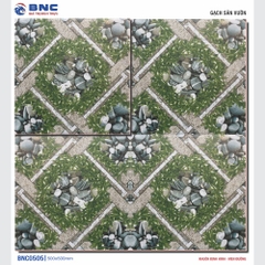 GẠCH SÂN VƯỜN 50x50: BNCG505