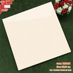 GẠCH LÁT PORCELAIN 60x60: TRT6801