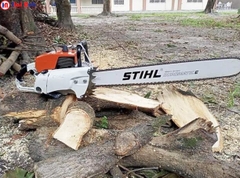 Máy cưa xích STILH MS070 dùng xăng