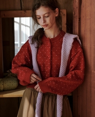 Áo len nữ Hàn Quốc 103141