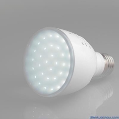 Bulb Flashlight Light