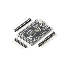 Mạch Phát Triển N76E003AT20 Board MICRO USB - BL