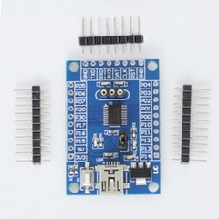 Mạch Phát Triển N76E003AT20 Mini USB