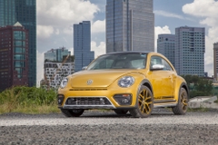 Volkswagen Beetle Dune