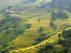 Ruộng bậc thang Sa Pa lại được xếp hạng trong top 11 ruộng bậc thang đẹp nhất thế giới