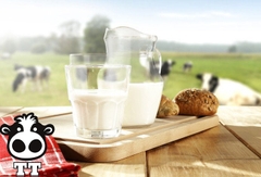 3 lưu ý bạn cần biết khi uống sữa bò