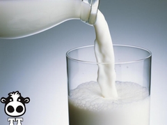 Cách sử dụng sữa bò tươi  nguyên chất hiệu quả