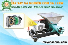 Máy xay cá nguyên con