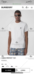 BURBERRY T-SHIRT - LIKE AUTH 99%