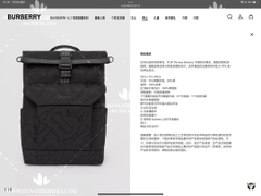 BURBERRY ORVILLE BACKPACK IN BLACK - LIKE AUTH 99%