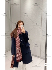 DIOR SCARF - LIKE AUTH 99%