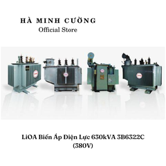 Biến Áp Điện Lực LiOA 3B6322C