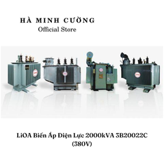 Biến Áp Điện Lực LiOA 3B20022C