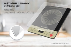 Bếp Từ Đơn Sunhouse SHD6869