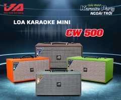 LOA KARAOKE JA MINI CW-500 - Dòng cao cấp