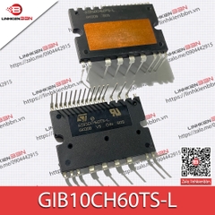 GIB10CH60TS-L (org) GIB10CH60TS-L (org)