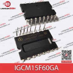 IGCM15F60GA (org) IGCM15F60GA (org)
