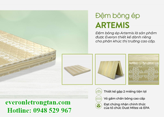 Đệm bông ép Artemis