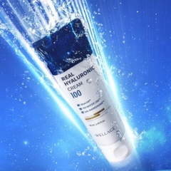Kem Dưỡng Ẩm, Làm Dịu Da Wellage Real HYALURONIC 100 Cream 50ml