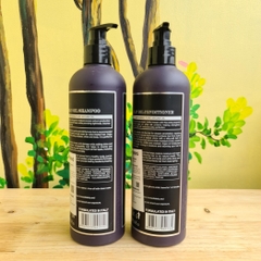 DẦU GỘI XẢ BERDYWINS ARGAN OIL 500ML - 1000ml