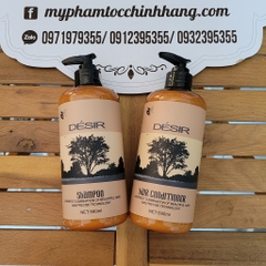 Dầu gội và dầu xả Desir Argan siêu mượt 500ml