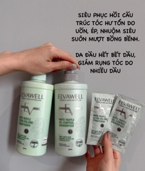 Dầu gội xả Elvawell phục hồi/ kiềm dầu/ trị gầu dạng gói 10ml (DÙNG THỬ, DU LỊCH, CÔNG TÁC)