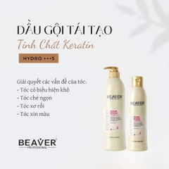 DẦU GỘI XẢ BEAVER 3 SIÊU DƯỠNG, 5 PHỤC HỒI, 6 GIẢM RỤNG, 4 GIẢM GẦU 768ML