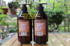 Dầu Gội Xả Top Haneda Collagen Shampoo & Conditioner 500ml - 785ml