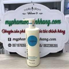 Cặp dầu gội xả Olexrs Argan Oil Collagen Hair Salon 500ml 960ml