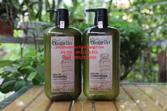 DẦU GỘI XẢ, HẤP D'ANGELLO KERATIN 500ML 800ML