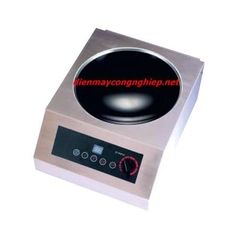 Induction Cooker wok range 5kw TTW-5000N