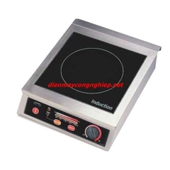 Induction Cooker tabletop 2.5kw TT-2500