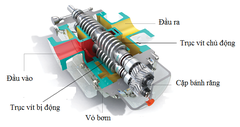 Tổng Quan Bơm Trục Vít (Screw Pump)