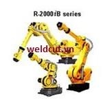 Robot Fanuc R-2000iB