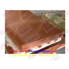 Đồng tấm kích thước lớn Đồng tấm kích thước lớn