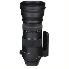 Sigma 150-600mm F/5-6.3 DG OS HSM Sport for Canon/ Nikon/ Sony