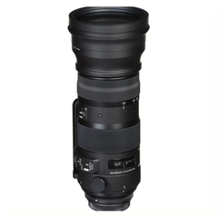 Sigma 150-600mm F/5-6.3 DG OS HSM Sport for Canon/ Nikon/ Sony