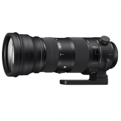 Sigma 150-600mm F/5-6.3 DG OS HSM Sport for Canon/ Nikon/ Sony