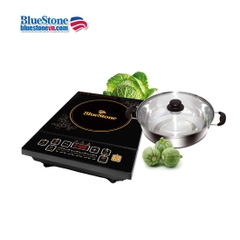 Bếp từ BlueStone ICB-6611