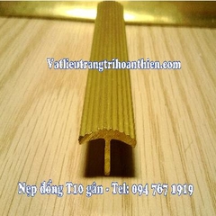 Nẹp Đồng T20