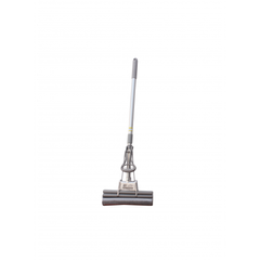 CÂY LAU THẲNG XÁM MỸ 1