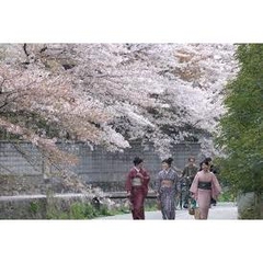 Chuyển phát nhanh đi Nhật Bản giá rẻ