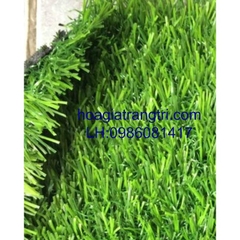Thảm cỏ nhân tạo sân vườn 3